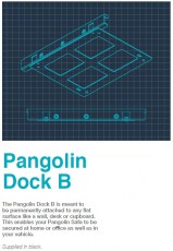 Pangolin-48
